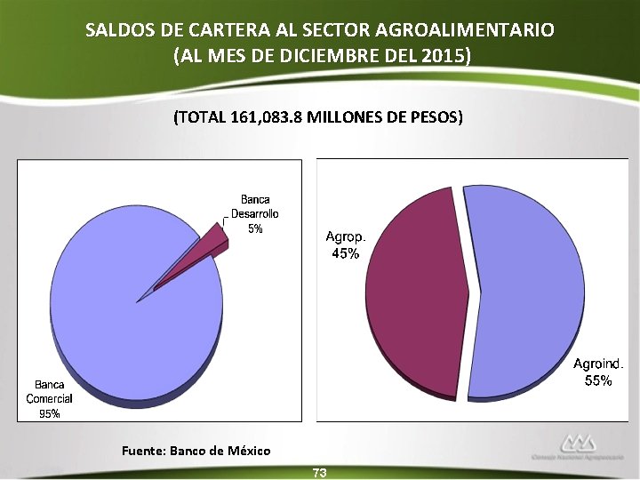 SALDOS DE CARTERA AL SECTOR AGROALIMENTARIO (AL MES DE DICIEMBRE DEL 2015) (TOTAL 161,