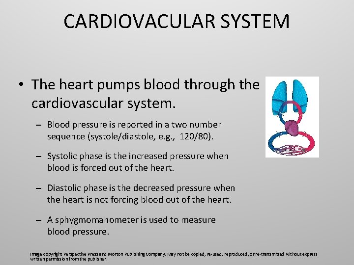 CARDIOVACULAR SYSTEM • The heart pumps blood through the cardiovascular system. – Blood pressure