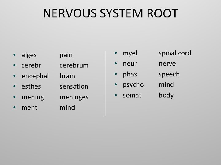 NERVOUS SYSTEM ROOT • • • alges cerebr encephal esthes mening ment pain cerebrum