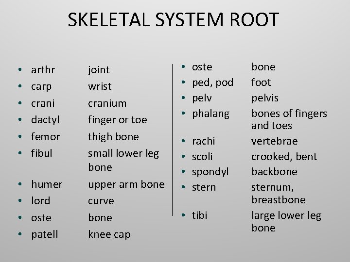 SKELETAL SYSTEM ROOT • • • arthr carp crani dactyl femor fibul • •