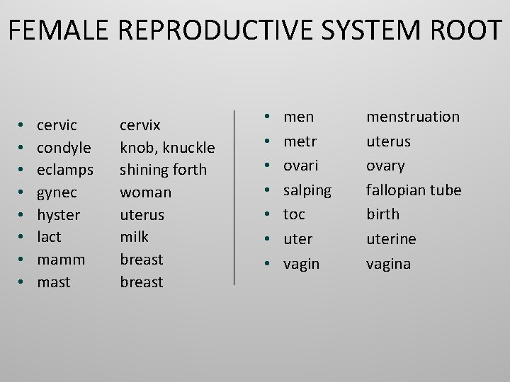 FEMALE REPRODUCTIVE SYSTEM ROOT • • cervic condyle eclamps gynec hyster lact mamm mast