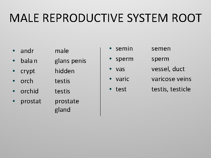 MALE REPRODUCTIVE SYSTEM ROOT • • • andr bala n crypt orchid prostat male