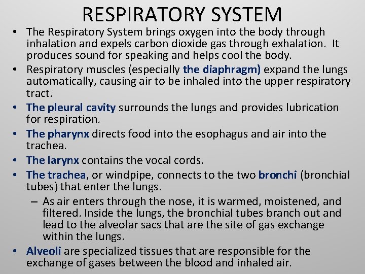 RESPIRATORY SYSTEM • The Respiratory System brings oxygen into the body through inhalation and