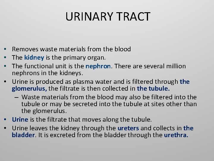 URINARY TRACT • Removes waste materials from the blood • The kidney is the