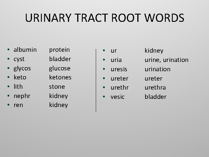 URINARY TRACT ROOT WORDS • • albumin cyst glycos keto lith nephr ren protein