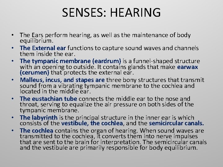 SENSES: HEARING • The Ears perform hearing, as well as the maintenance of body