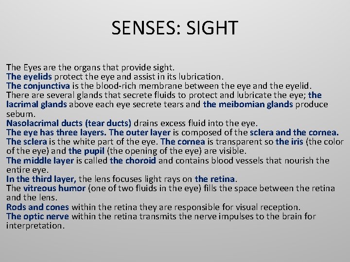 SENSES: SIGHT The Eyes are the organs that provide sight. The eyelids protect the