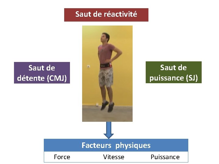 Saut de réactivité Saut de puissance (SJ) Saut de détente (CMJ) Facteurs physiques Force