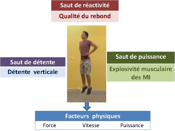 Saut de réactivité Qualité du rebond Saut de puissance Saut de détente Détente verticale