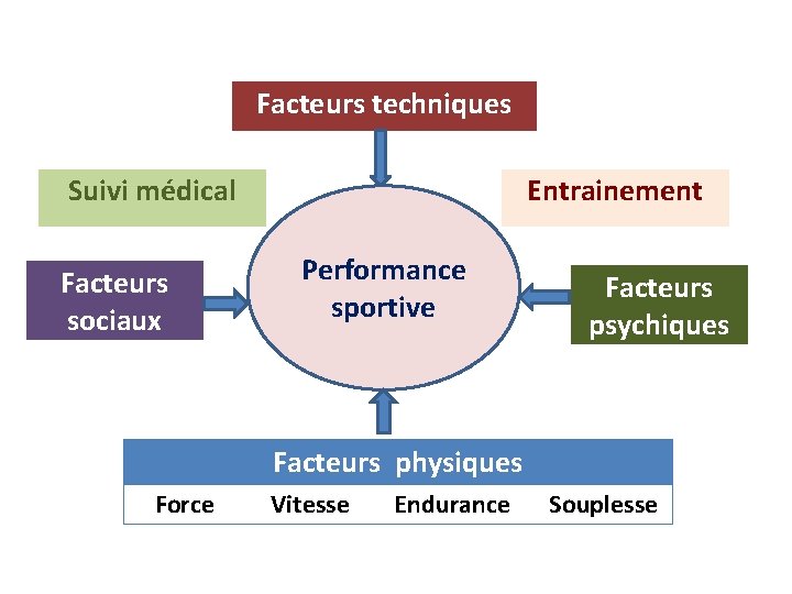Facteurs techniques Suivi médical Facteurs sociaux Entrainement Performance sportive Facteurs psychiques Facteurs physiques Force