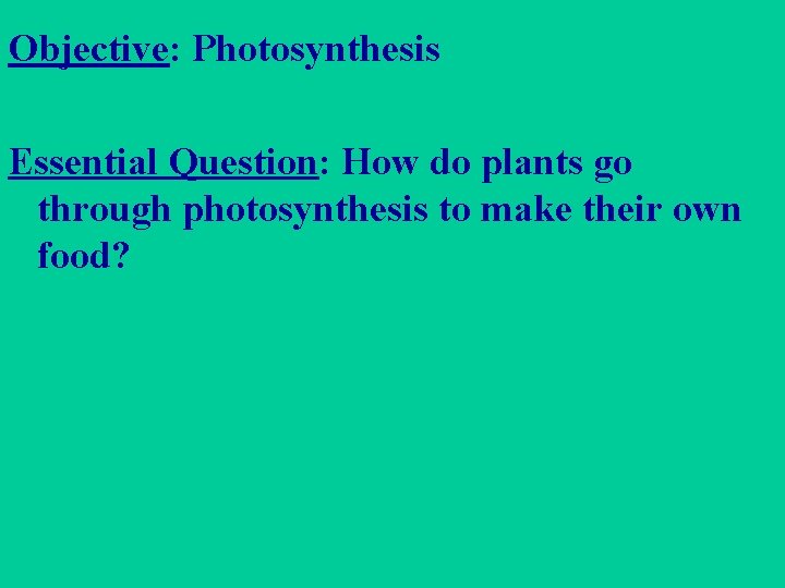 Objective: Photosynthesis Essential Question: How do plants go through photosynthesis to make their own