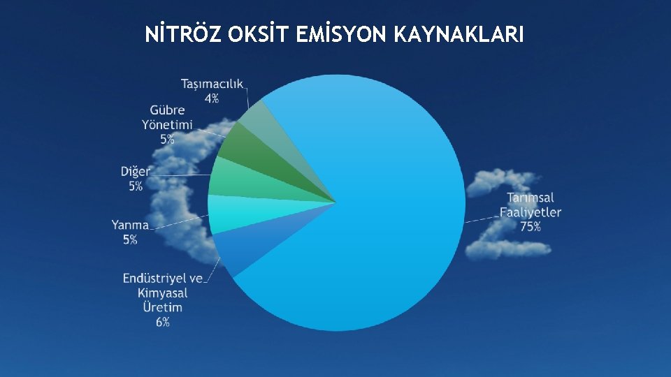 NİTRÖZ OKSİT EMİSYON KAYNAKLARI 