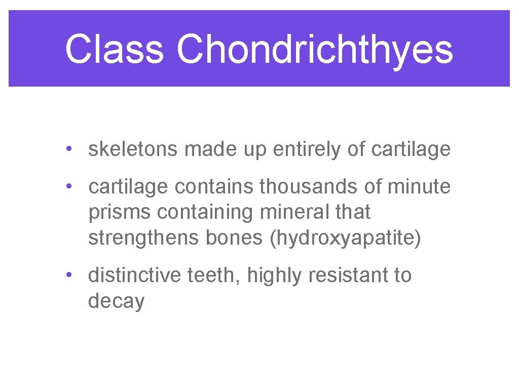 Class Chondrichthyes • skeletons made up entirely of cartilage • cartilage contains thousands of