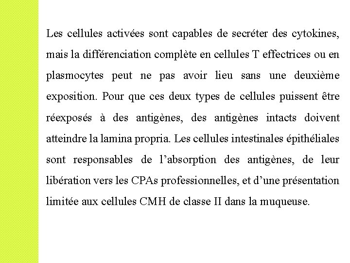 Les cellules activées sont capables de secréter des cytokines, mais la différenciation complète en