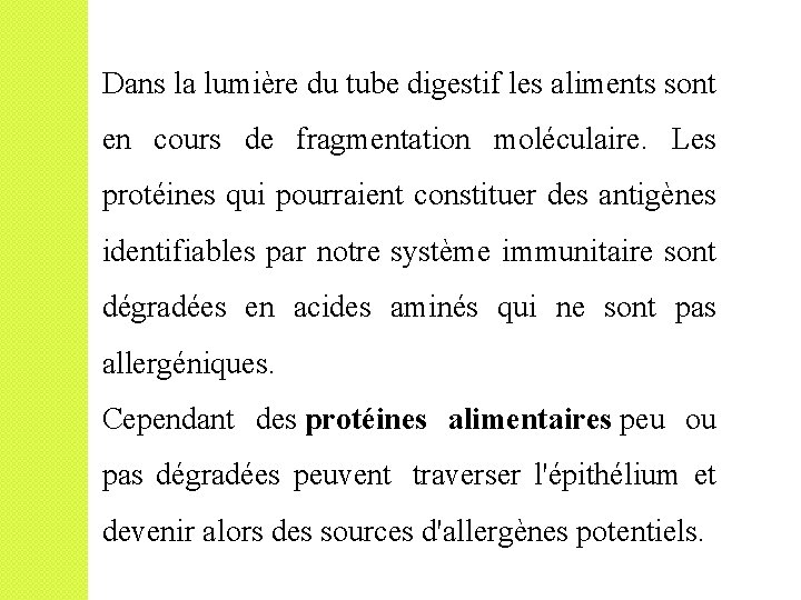 Dans la lumière du tube digestif les aliments sont en cours de fragmentation moléculaire.