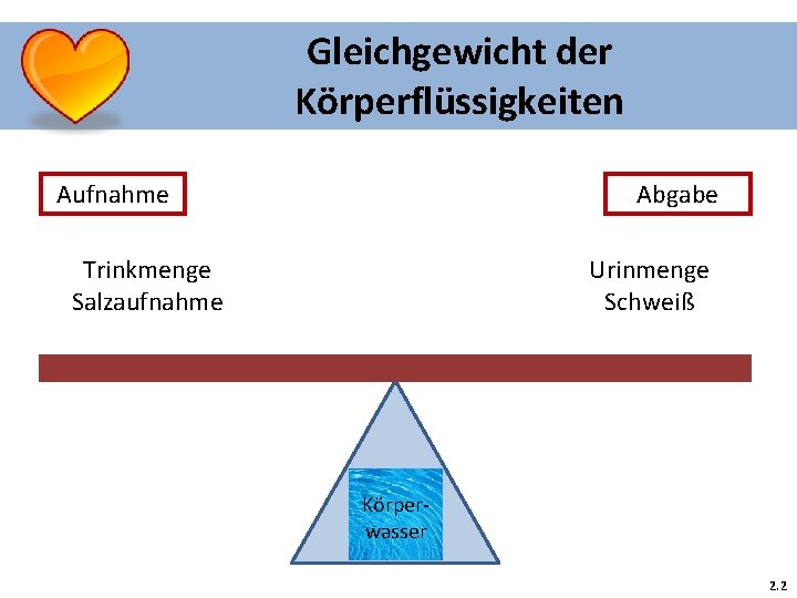 Gleichgewicht der Körperflüssigkeiten Aufnahme Abgabe Trinkmenge Salzaufnahme Urinmenge Schweiß Körperwasser 2. 2 