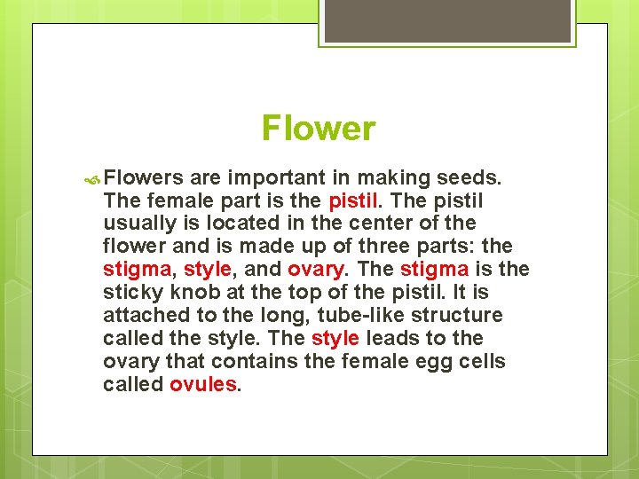Flower Flowers are important in making seeds. The female part is the pistil. The