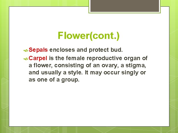 Flower(cont. ) Sepals encloses and protect bud. Carpel is the female reproductive organ of