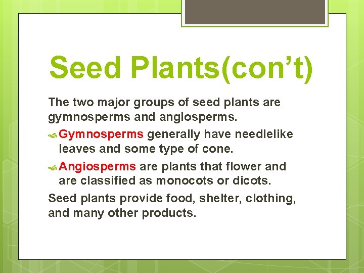 Seed Plants(con’t) The two major groups of seed plants are gymnosperms and angiosperms. Gymnosperms