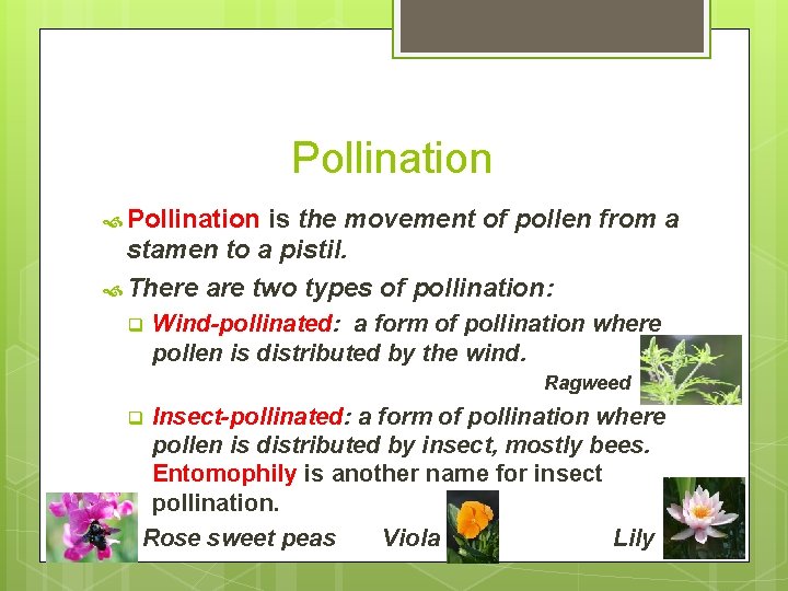 Pollination is the movement of pollen from a stamen to a pistil. There are