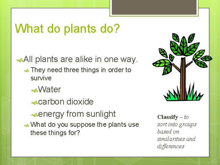 What do plants do? All plants are alike in one way. They need three