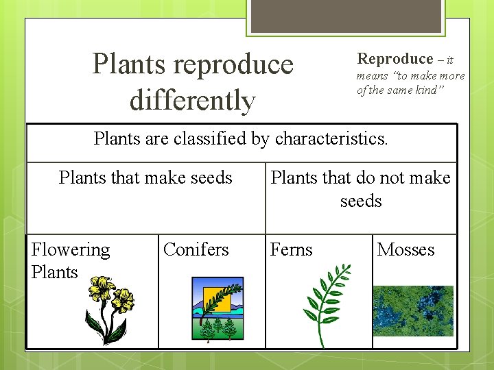 Plants reproduce differently Reproduce – it means “to make more of the same kind”