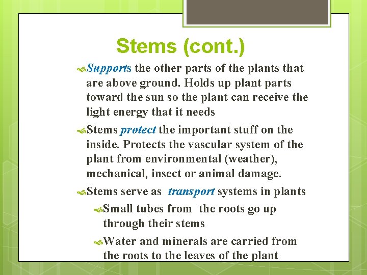 Stems (cont. ) Supports the other parts of the plants that are above ground.
