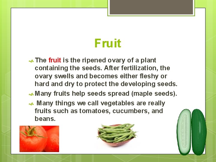 Fruit The fruit is the ripened ovary of a plant containing the seeds. After