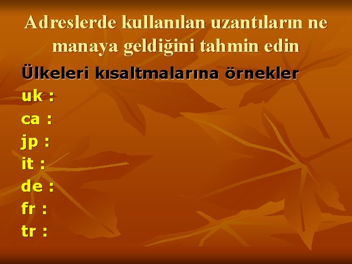 Adreslerde kullanılan uzantıların ne manaya geldiğini tahmin edin Ülkeleri kısaltmalarına örnekler uk : ca