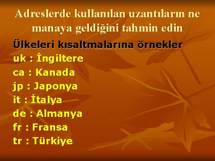 Adreslerde kullanılan uzantıların ne manaya geldiğini tahmin edin Ülkeleri kısaltmalarına örnekler uk : İngiltere