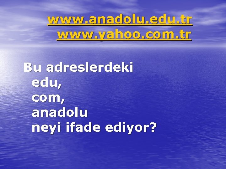 www. anadolu. edu. tr www. yahoo. com. tr Bu adreslerdeki edu, com, anadolu neyi