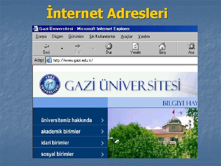 İnternet Adresleri 