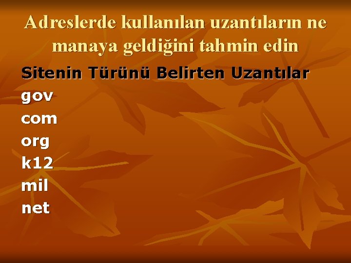 Adreslerde kullanılan uzantıların ne manaya geldiğini tahmin edin Sitenin Türünü Belirten Uzantılar gov com