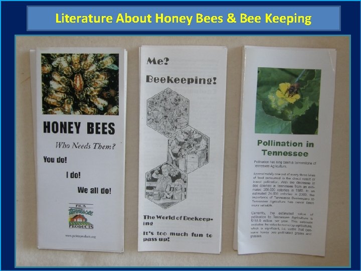 Literature About Honey Bees & Bee Keeping 