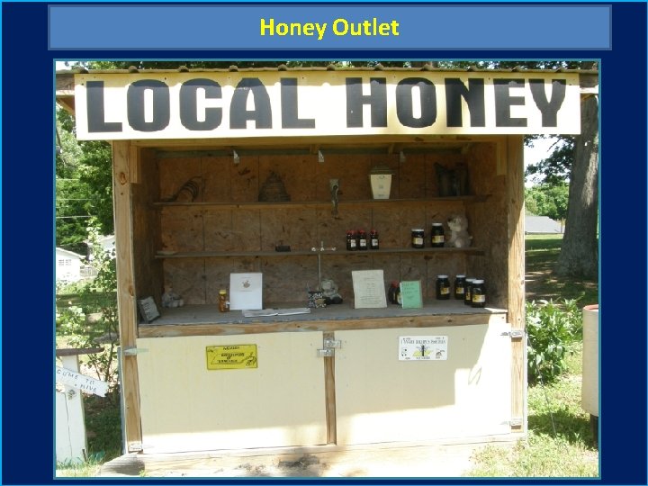 Honey Outlet 