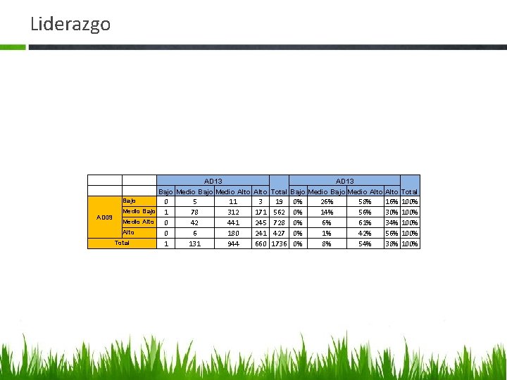 Liderazgo AD 13 Bajo Medio Alto Total Bajo AD 09 Medio Bajo Medio Alto