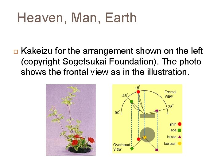 Heaven, Man, Earth Kakeizu for the arrangement shown on the left (copyright Sogetsukai Foundation).