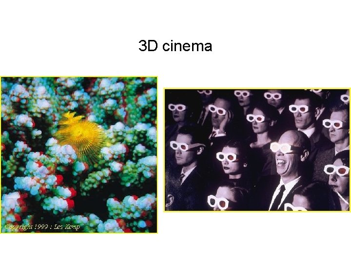 3 D cinema 