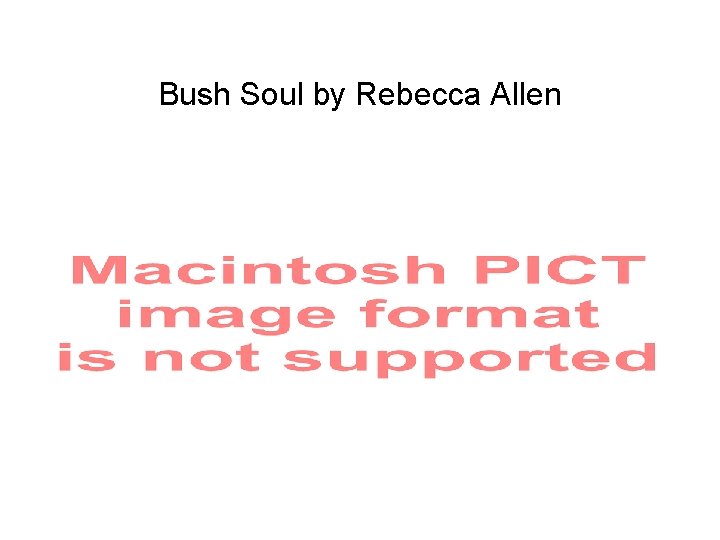 Bush Soul by Rebecca Allen 