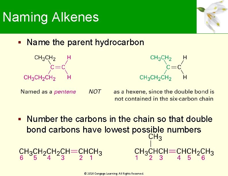 Naming Alkenes Name the parent hydrocarbon Number the carbons in the chain so that