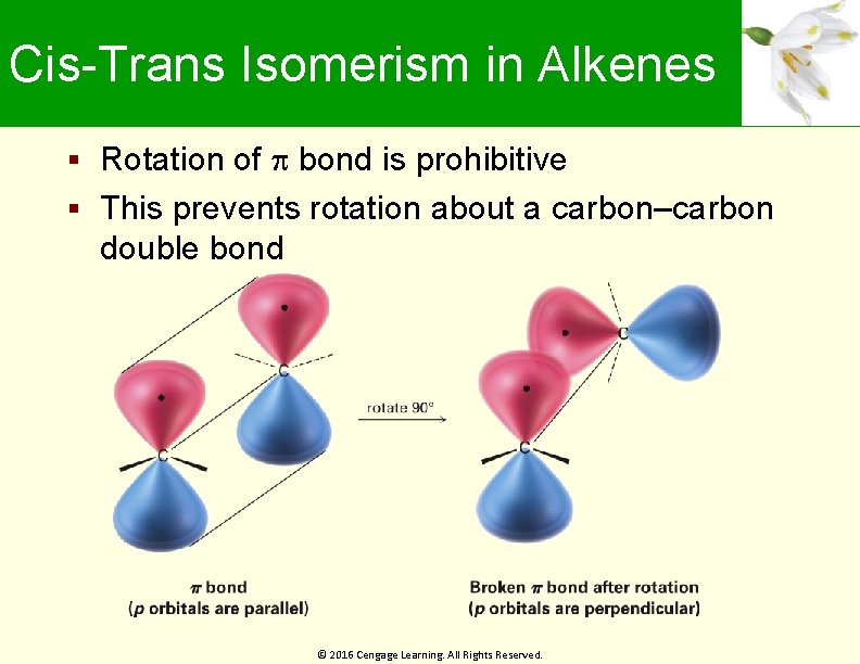 Cis-Trans Isomerism in Alkenes Rotation of bond is prohibitive This prevents rotation about a