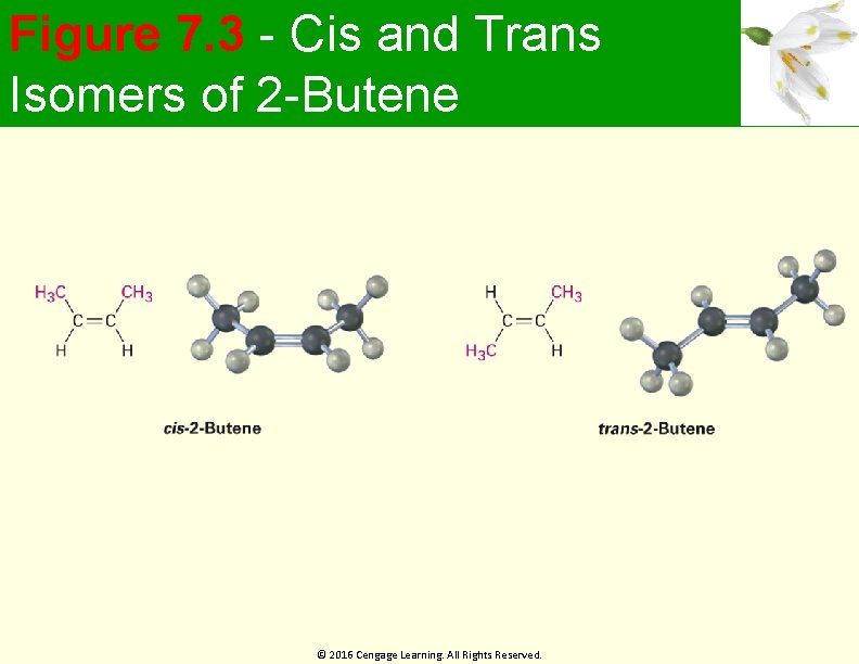 Figure 7. 3 - Cis and Trans Isomers of 2 -Butene © 2016 Cengage