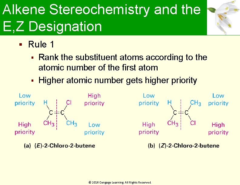 Alkene Stereochemistry and the E, Z Designation Rule 1 Rank the substituent atoms according