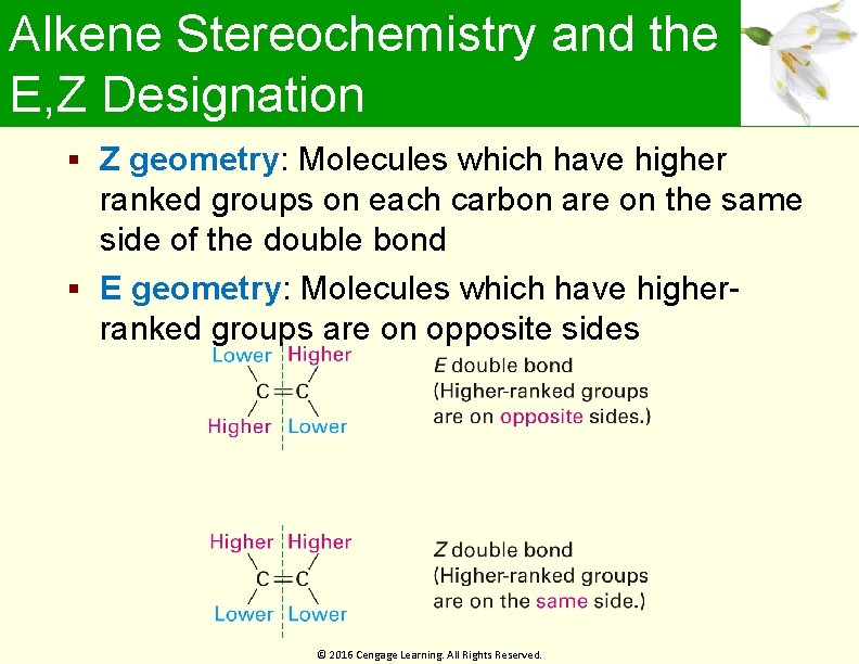 Alkene Stereochemistry and the E, Z Designation Z geometry: Molecules which have higher ranked