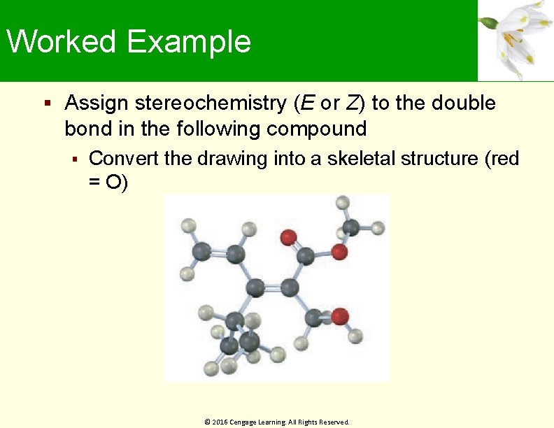 Worked Example Assign stereochemistry (E or Z) to the double bond in the following