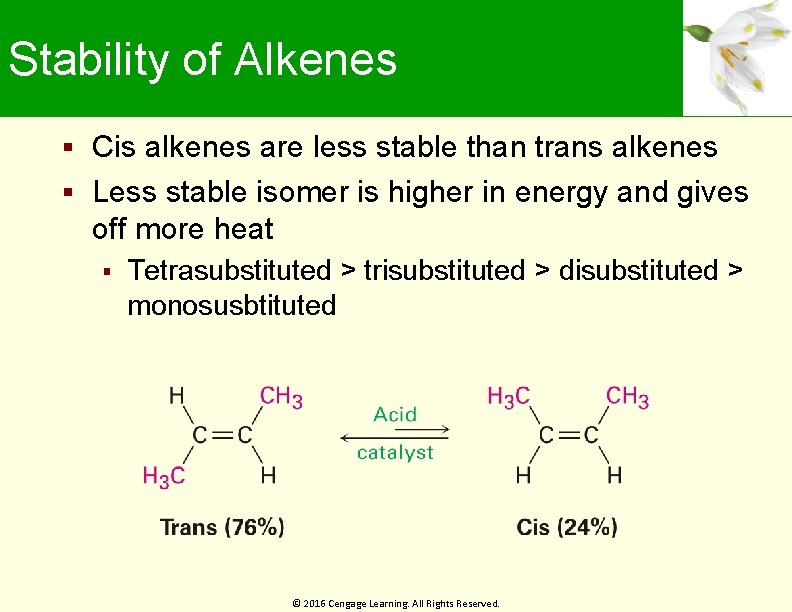 Stability of Alkenes Cis alkenes are less stable than trans alkenes Less stable isomer