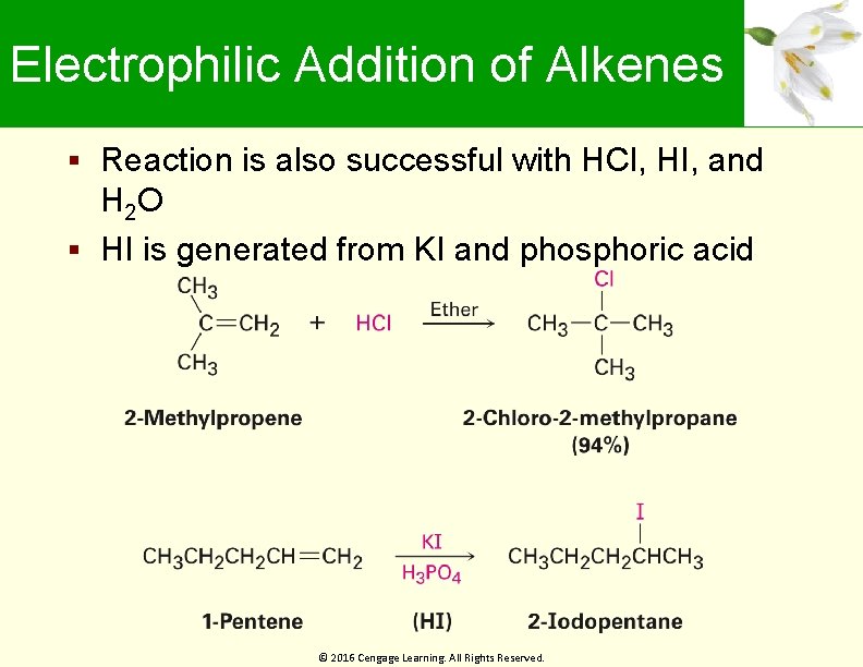 Electrophilic Addition of Alkenes Reaction is also successful with HCl, HI, and H 2