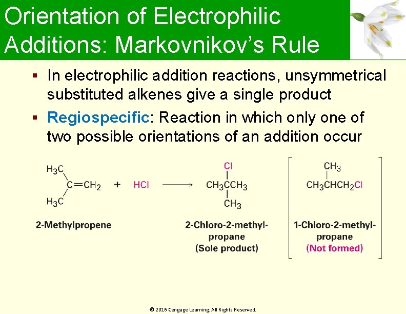 Orientation of Electrophilic Additions: Markovnikov’s Rule In electrophilic addition reactions, unsymmetrical substituted alkenes give