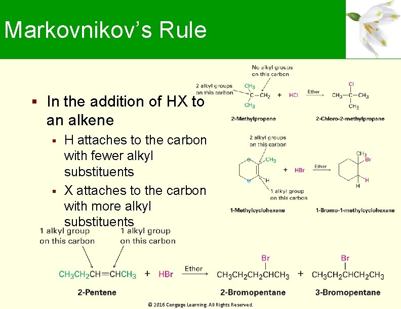 Markovnikov’s Rule In the addition of HX to an alkene H attaches to the