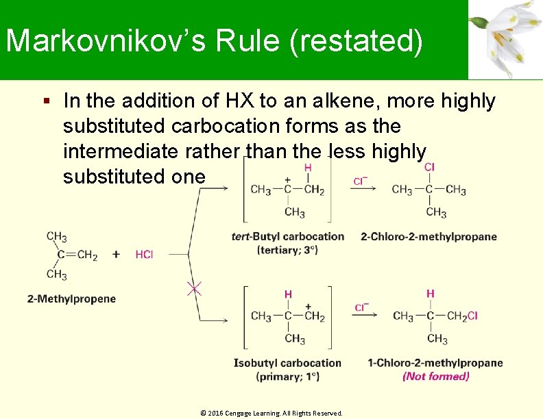 Markovnikov’s Rule (restated) In the addition of HX to an alkene, more highly substituted